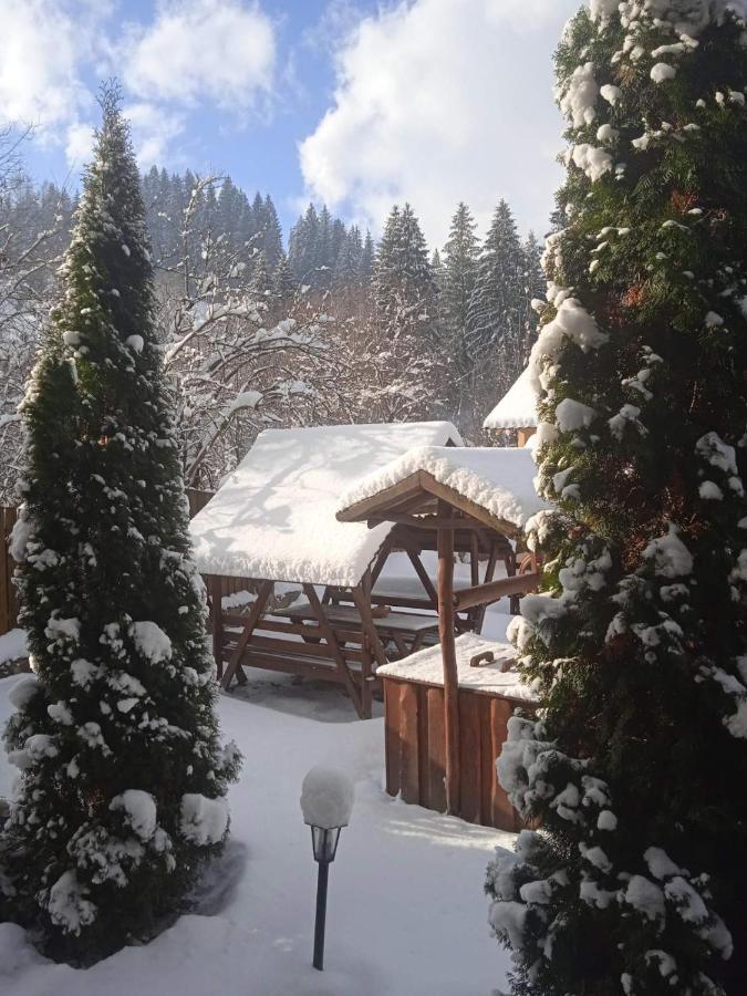 На Березі Черемошу Werchowyna Exterior foto