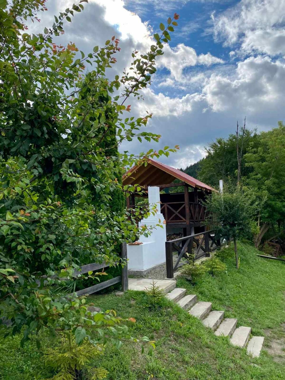 На Березі Черемошу Werchowyna Exterior foto